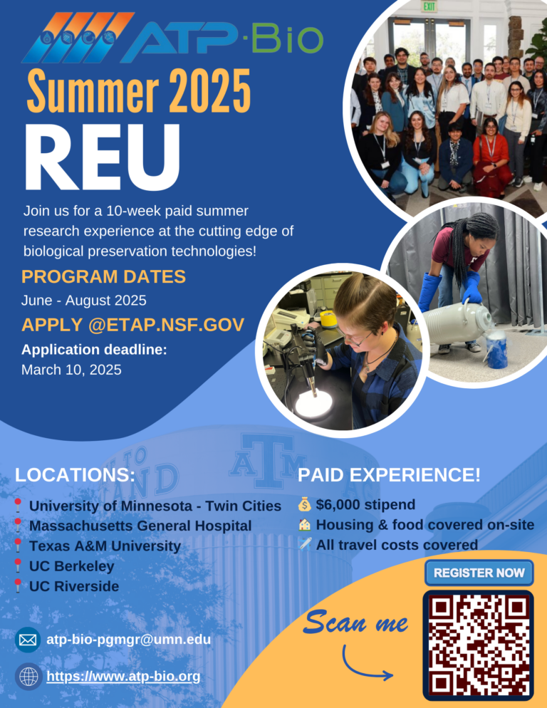 Blue and White Modern Summer Scholarship Program Flyer